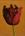 tn_Tulipano rosso  50x70